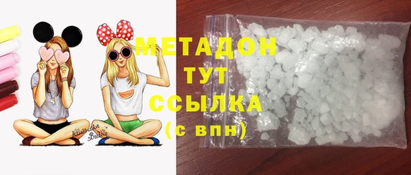 прущие грибы Балахна