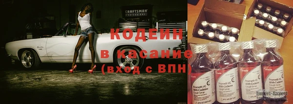 прущие грибы Балахна