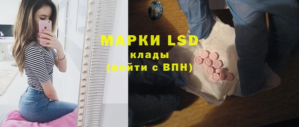 ГАЛЛЮЦИНОГЕННЫЕ ГРИБЫ Приозерск
