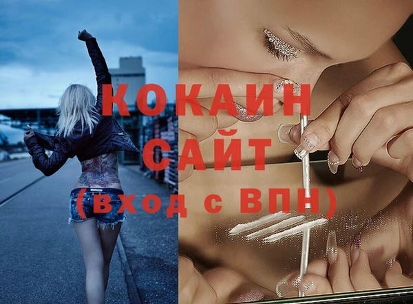 ГАЛЛЮЦИНОГЕННЫЕ ГРИБЫ Приозерск