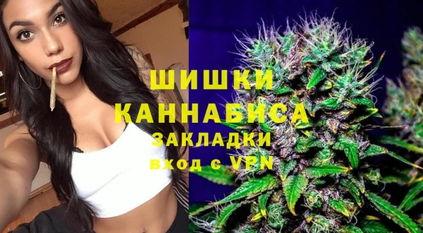 прущие грибы Балахна