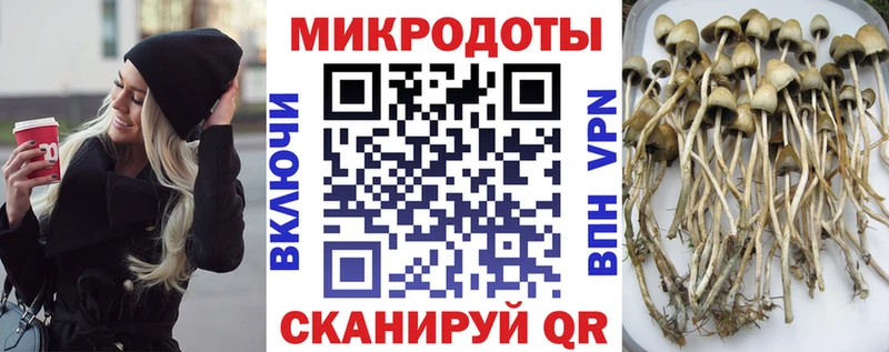 наркота Инсар блэк спрут вход Галлюциногенные грибы прущие грибы